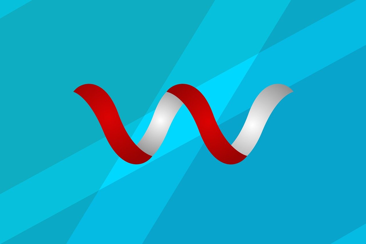 The W Boson Field: The Charged Carrier of the Weak Force