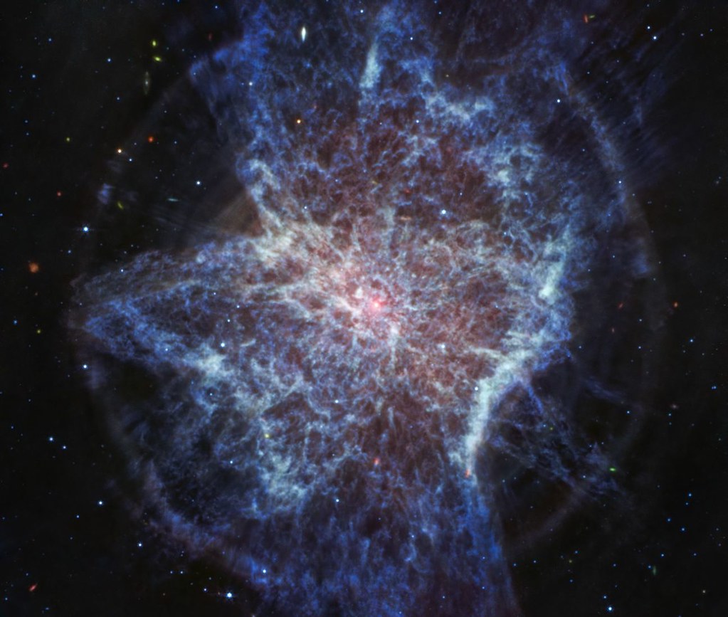 The Z Boson Field: The Neutral Carrier of the Weak Force